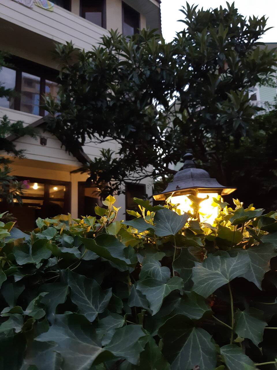 Фото Гостиницы Банановый рай Адлер 156