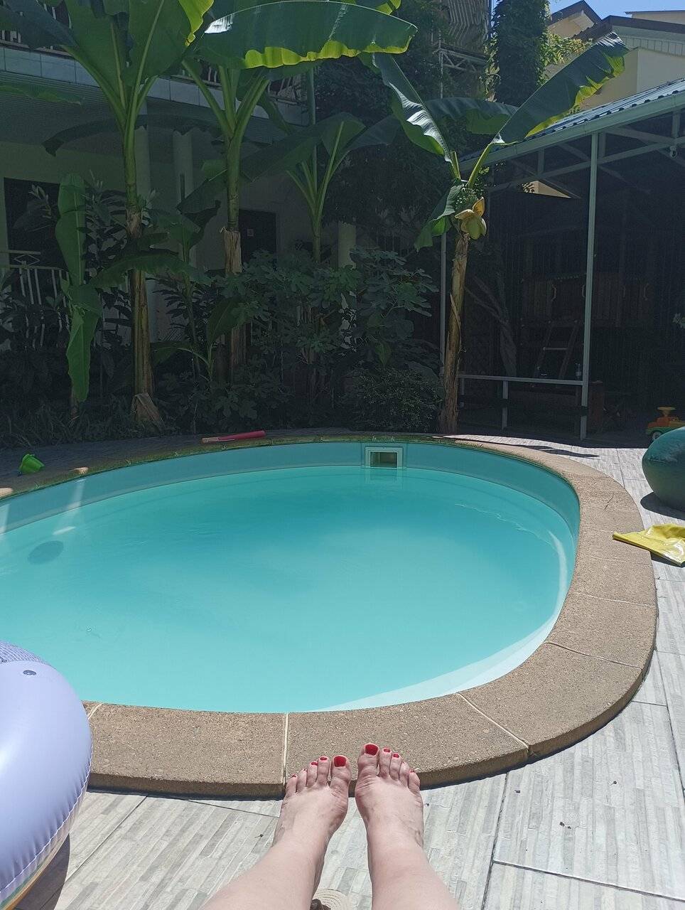 Фото Гостиницы Банановый рай Адлер 161