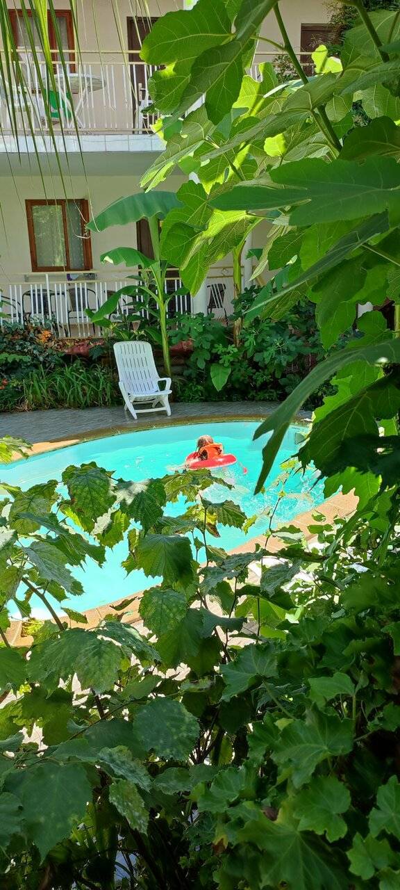 Фото Гостиницы Банановый рай Адлер 157