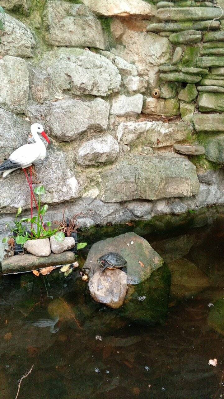 Фото Гостиницы Банановый рай Адлер 158